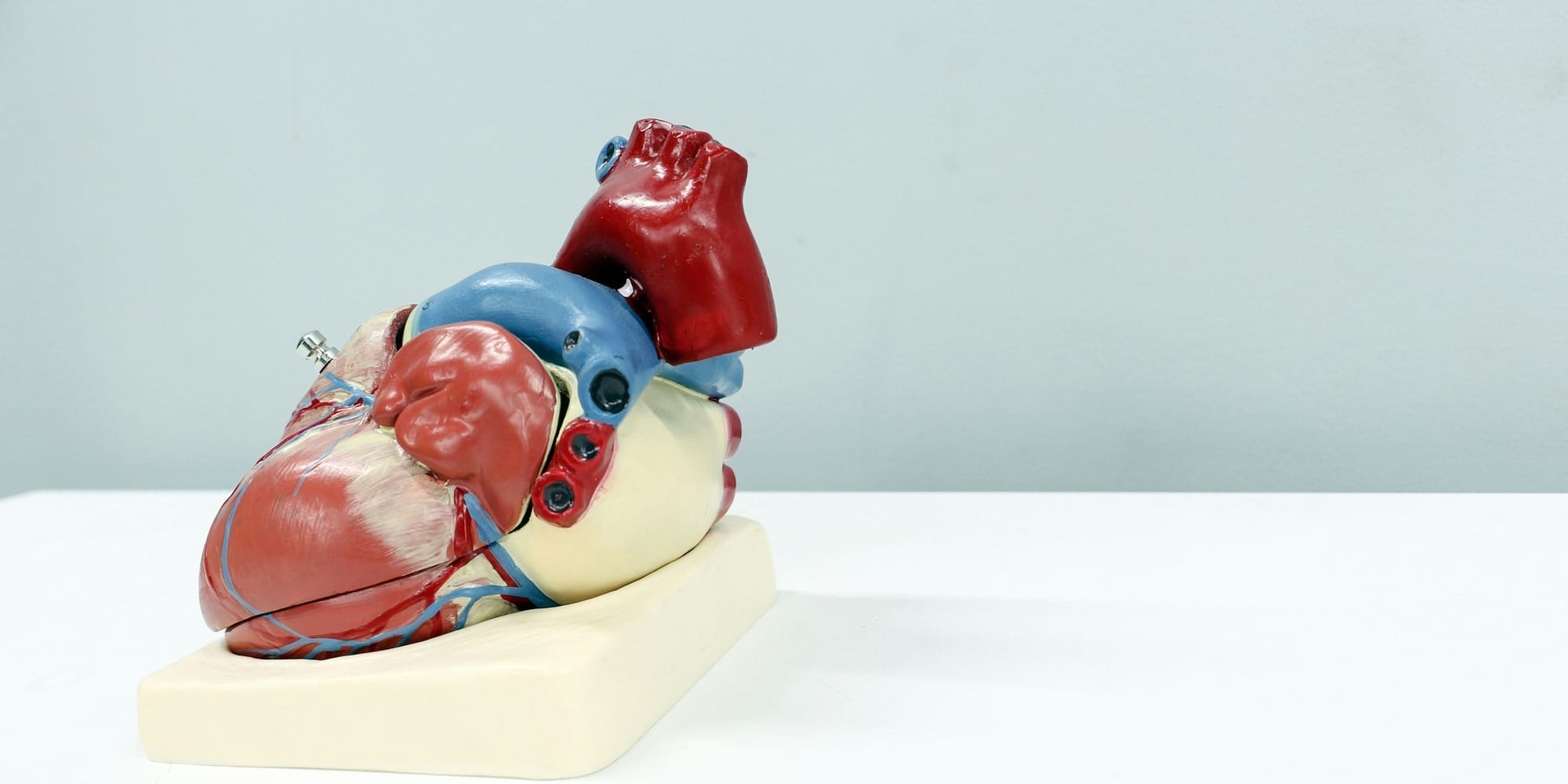 KI in der Medizin: Wo Algorithmen schon heute Leben retten