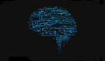 Neuronale Netze