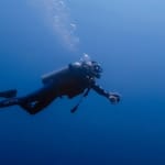 Deep Dive