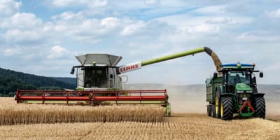 Ein Mähdrescher, der die Ernte in einen Traktor umfüllt
